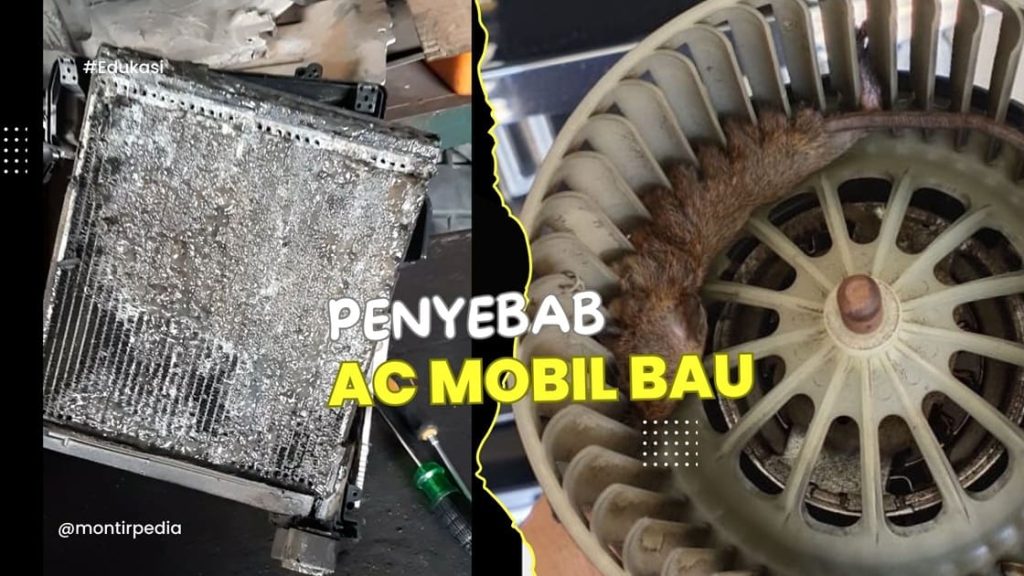 penyebab ac mobil bau